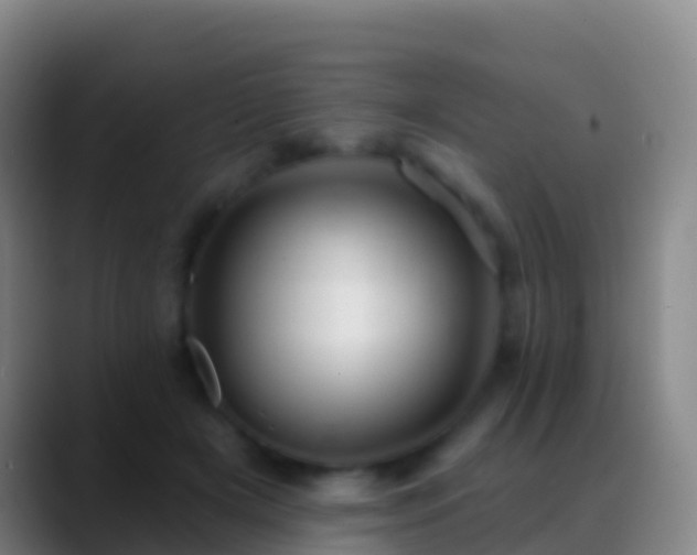 X0000088900505200706151850
