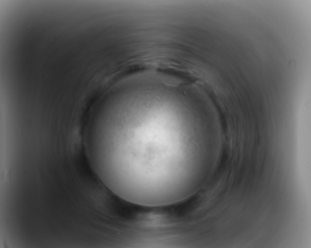 X0000088900506200706151850
