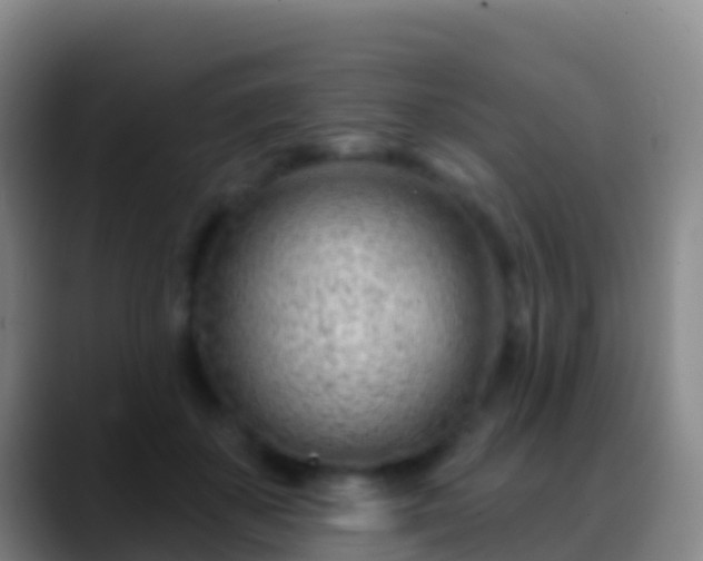 X0000088900507200706151850