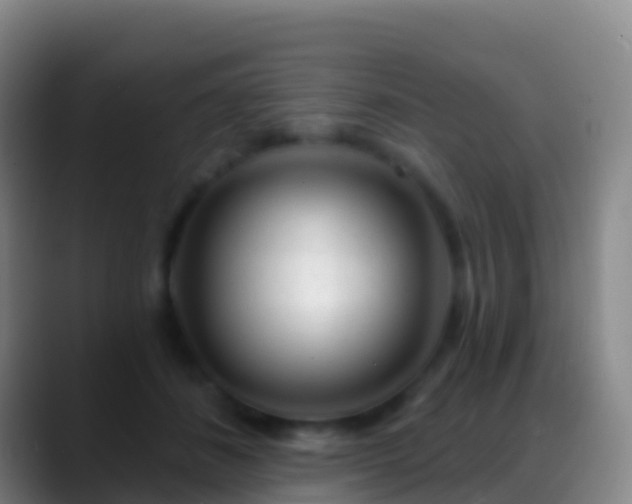 X0000088900508200706151850