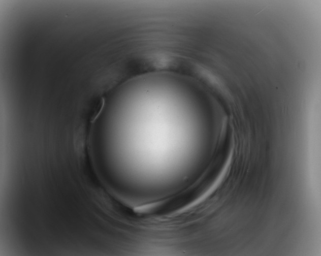 X0000088900509200706151850