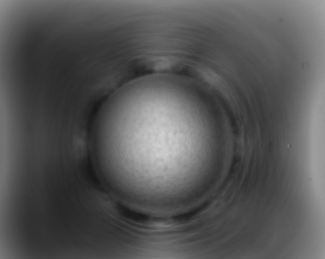 X0000088900510200706151850
