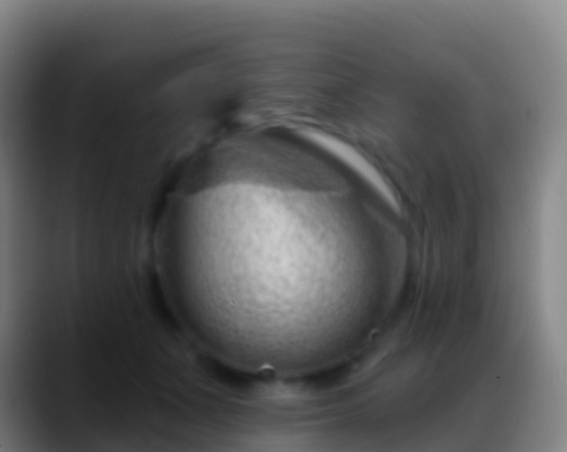 X0000088900511200706151850