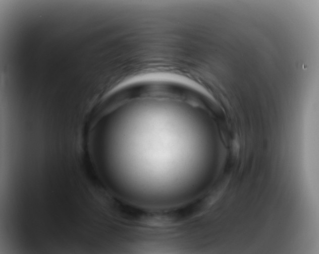 X0000088900512200706151850