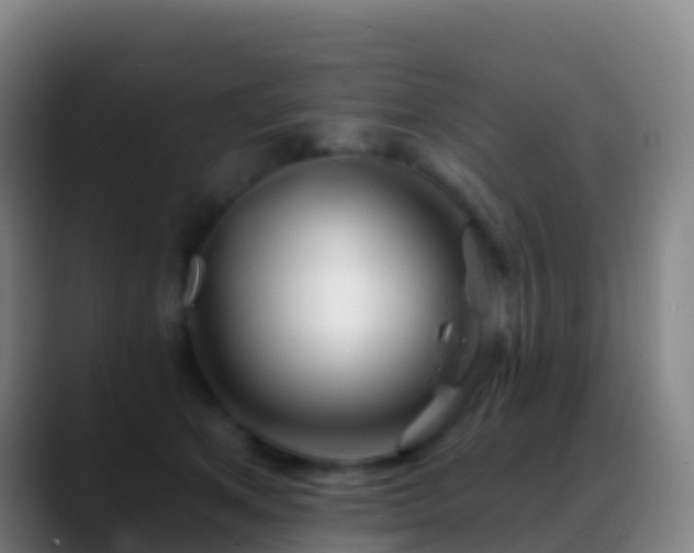 X0000088900513200706151850
