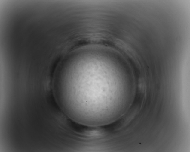 X0000088900514200706151850