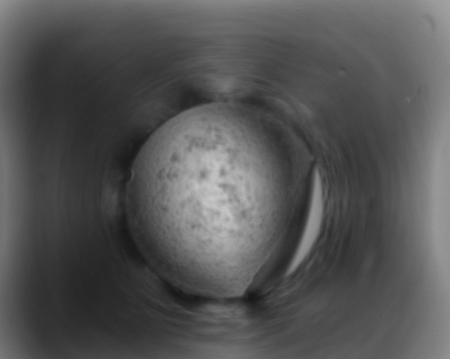 X0000088900515200706151850