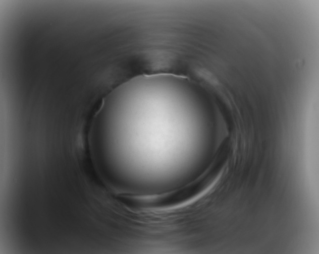 X0000088900516200706151850