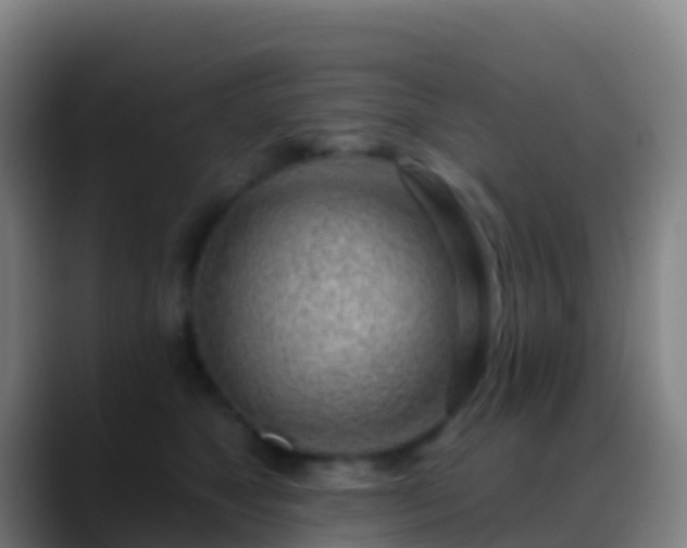 X0000088900517200706151850