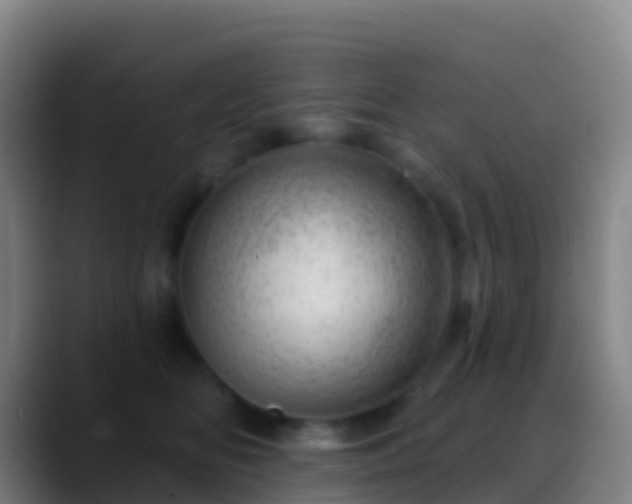 X0000088900518200706151850