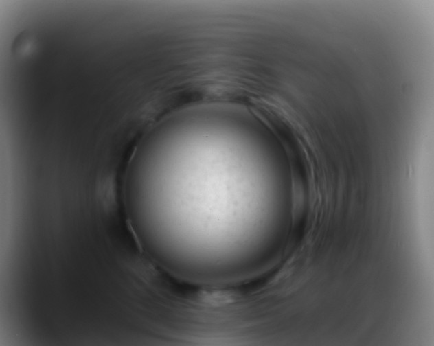 X0000088900520200706151850