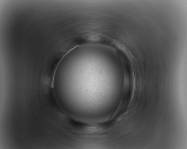 X0000088900521200706151850