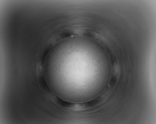X0000088900522200706151850