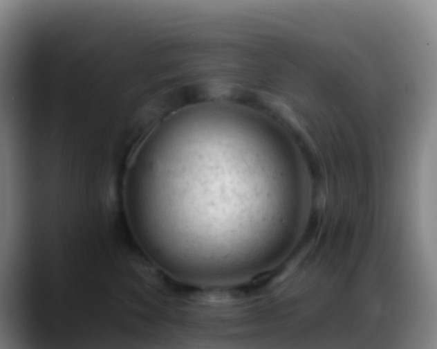 X0000088900524200706151850