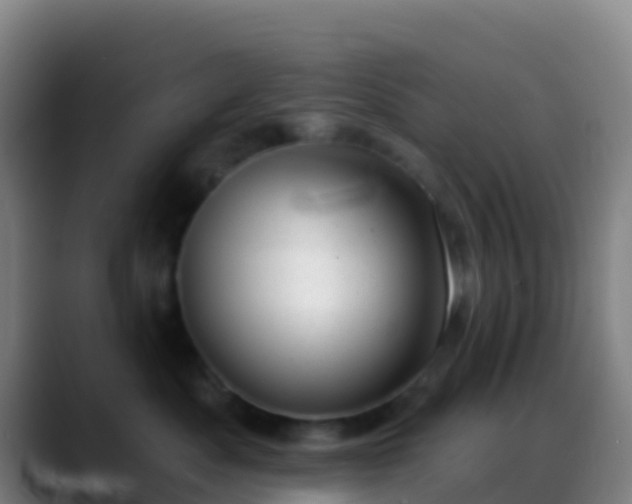 X0000088900525200706151850
