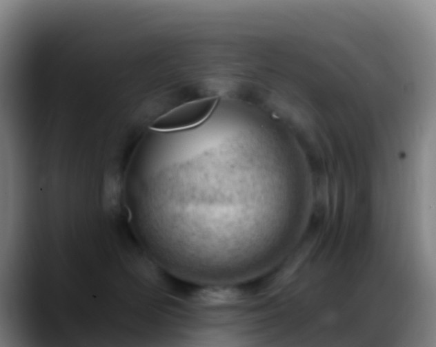 X0000088900526200706151850