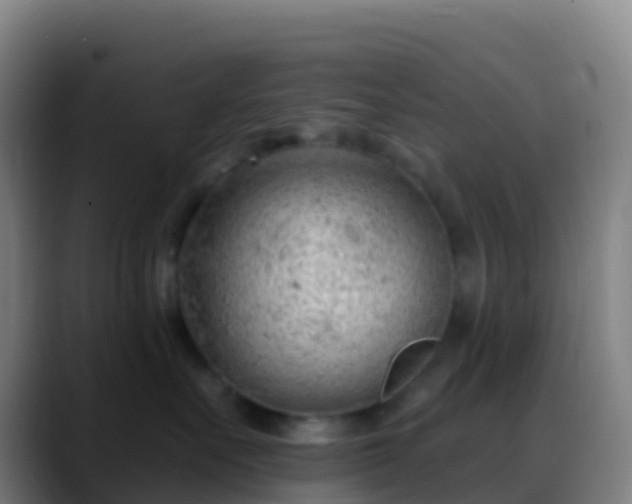 X0000088900527200706151850