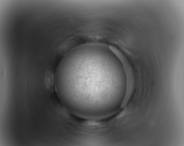 X0000088900528200706151850