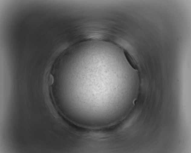 X0000088900529200706151849