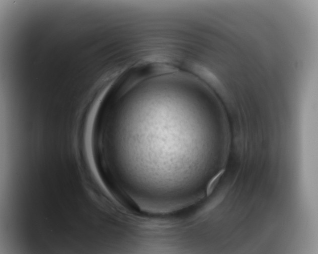 X0000088900530200706151849