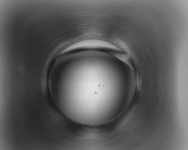X0000088900531200706151849