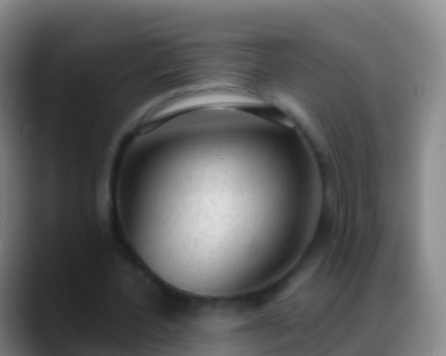 X0000088900532200706151850
