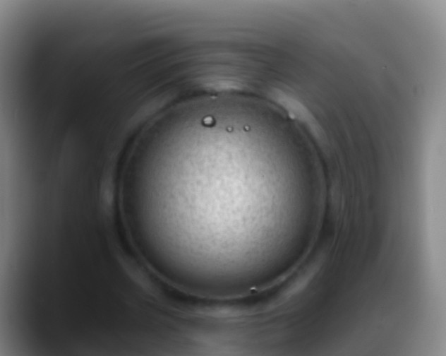 X0000088900533200706151850