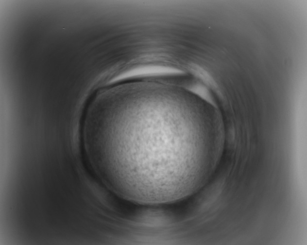 X0000088900535200706151850
