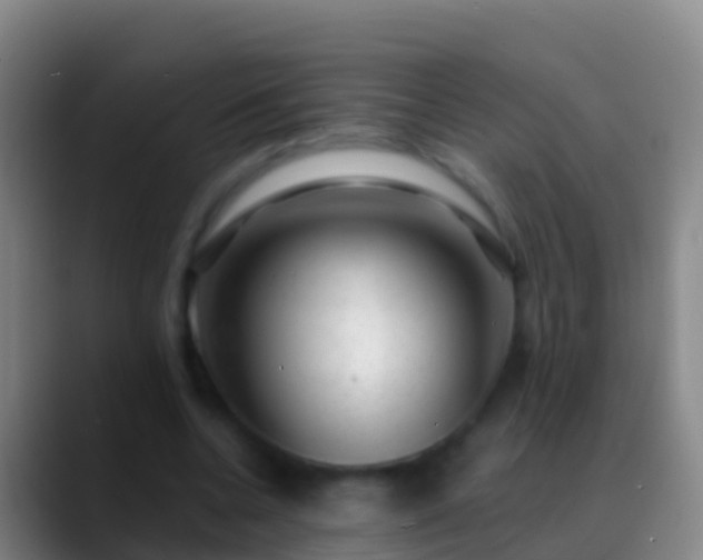 X0000088900536200706151850