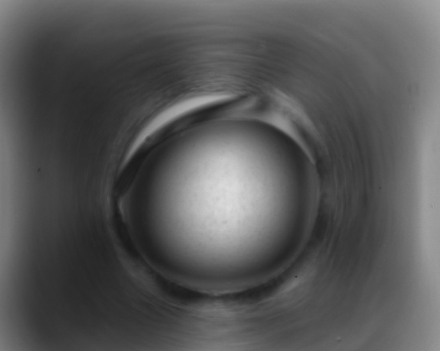 X0000088900538200706151850
