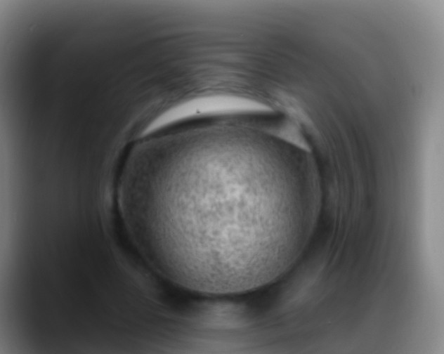 X0000088900539200706151850
