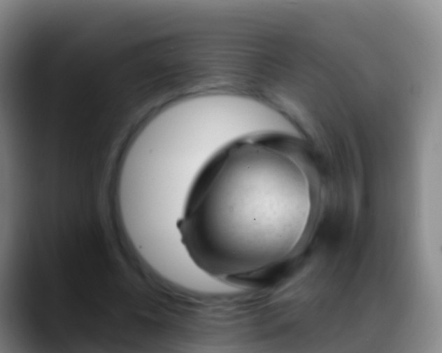 X0000088900540200706151850