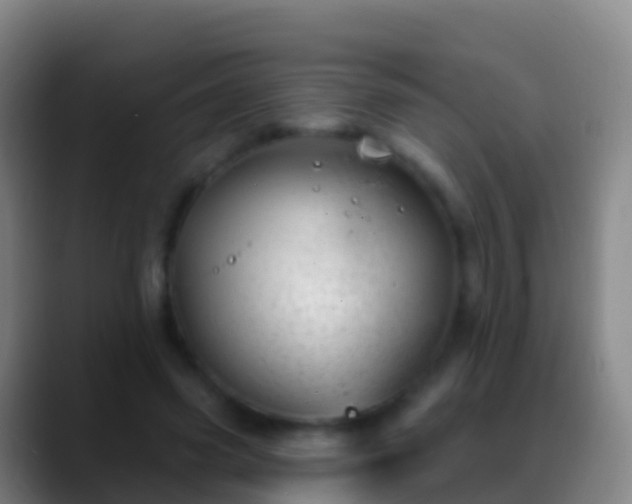 X0000088900541200706151850