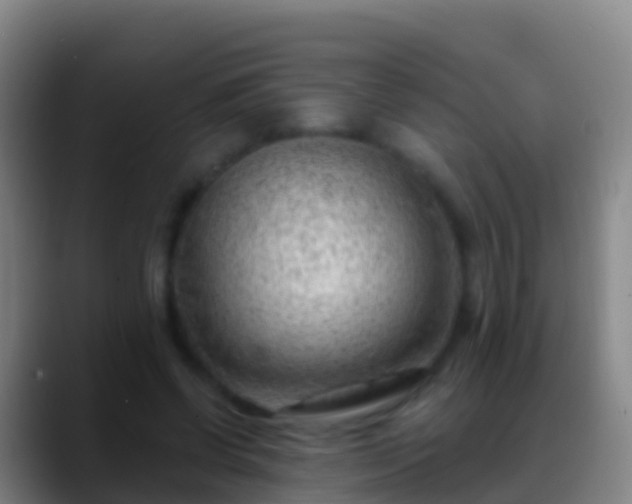 X0000088900542200706151850
