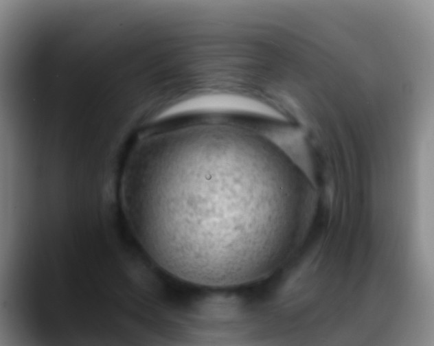 X0000088900543200706151850