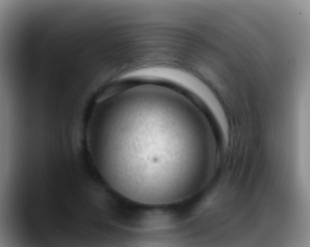 X0000088900544200706151850