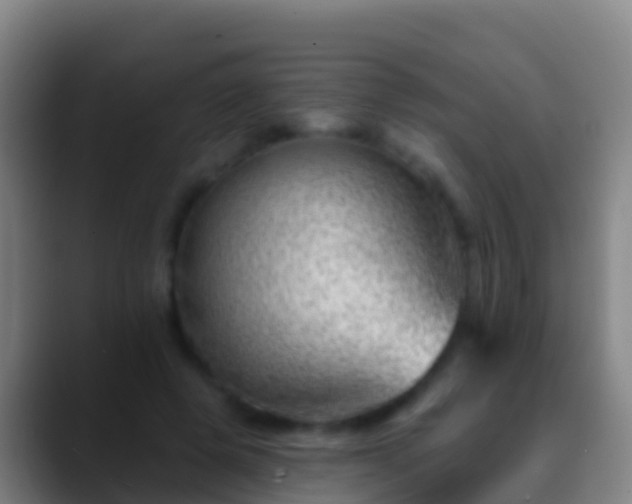X0000088900545200706151850