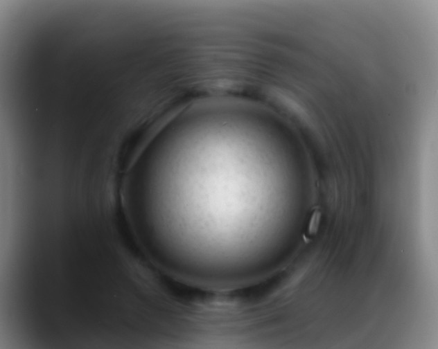 X0000088900546200706151850