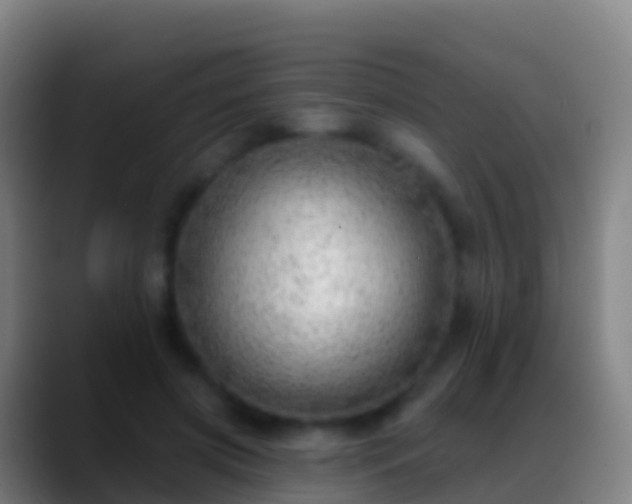 X0000088900549200706151850