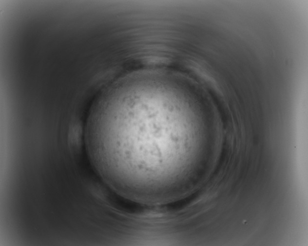 X0000088900550200706151850