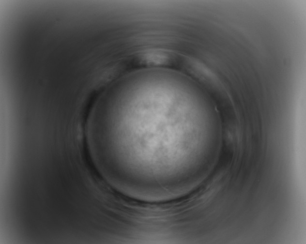 X0000088900551200706151850