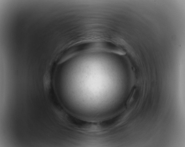 X0000088900552200706151850