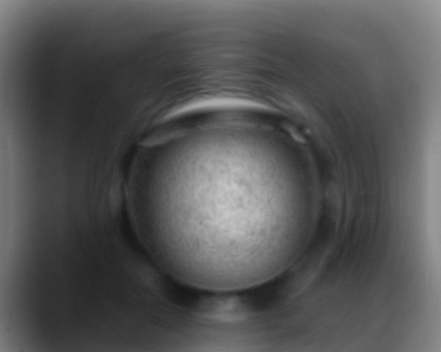 X0000088900554200706151850