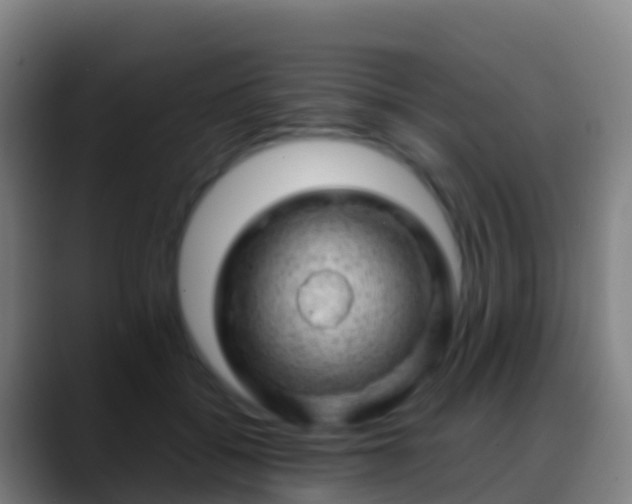 X0000088900556200706151850