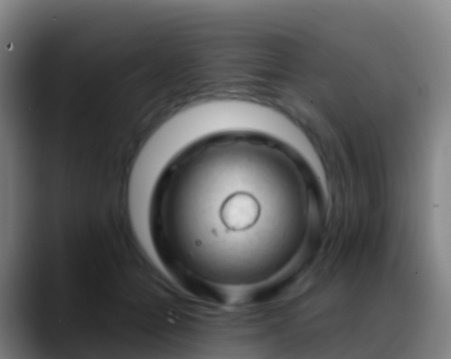 X0000088900558200706151850