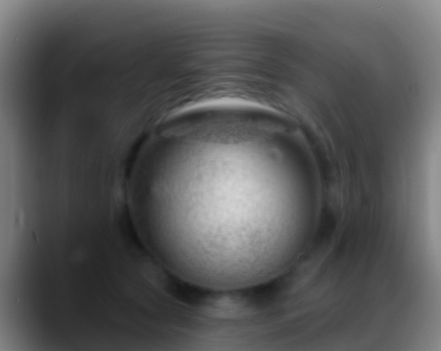 X0000088900561200706151850