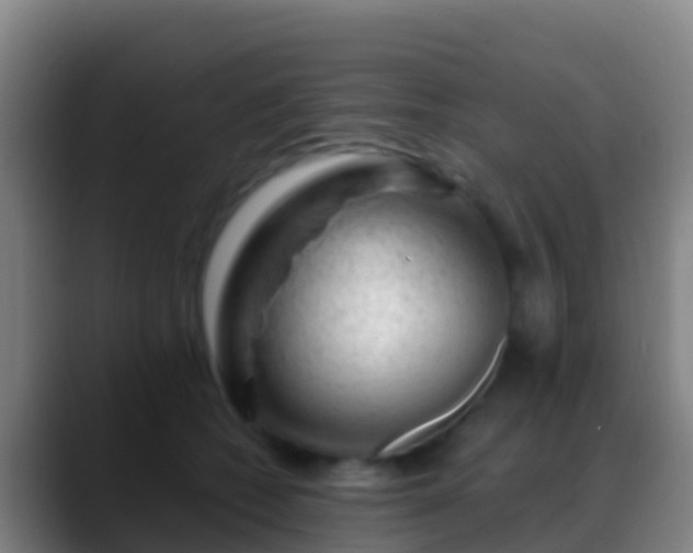 X0000088900562200706151850
