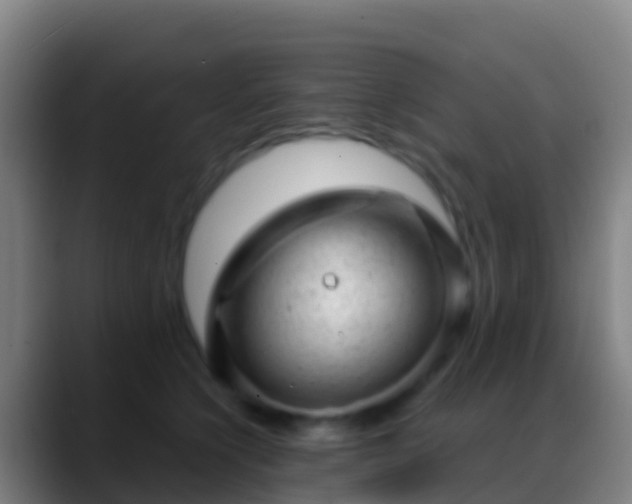 X0000088900564200706151850