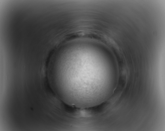 X0000088900565200706151850
