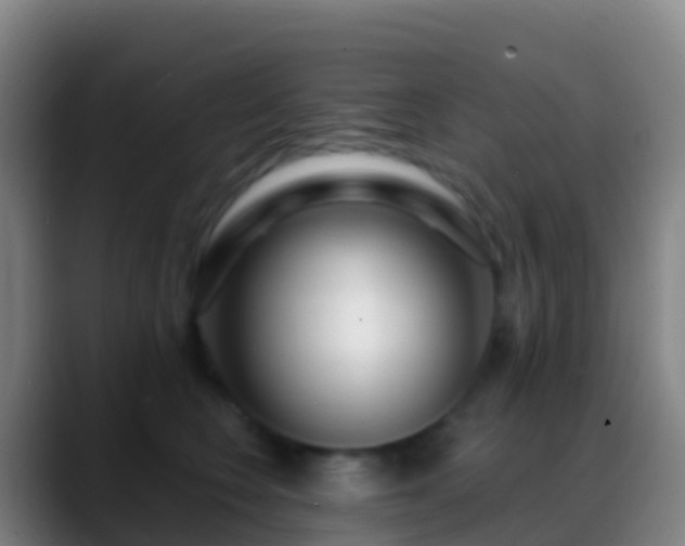 X0000088900566200706151850